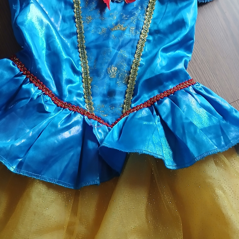 Blue and Gold Snowwhite Kids Costume